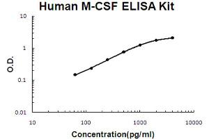 Human M-CSF Accusignal ELISA Kit Human M-CSF AccuSignal ELISA Kit standard curve. (M-CSF/CSF1 ELISA Kit)