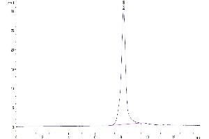 EPH Receptor A10 Protein (EPHA10) (AA 23-565) (His tag)