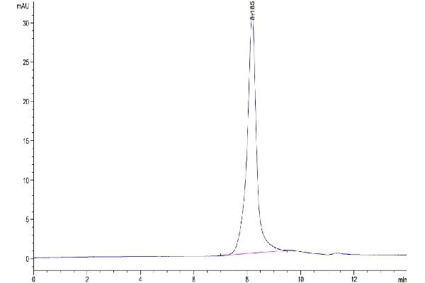 EPH Receptor A10 Protein (EPHA10) (AA 23-565) (His tag)