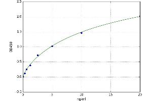 A typical standard curve