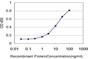 Detection limit for recombinant GST tagged DYM is approximately 1ng/ml as a capture antibody. (Dymeclin antibody  (AA 343-430))