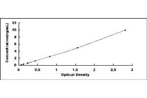 Typical standard curve (CXCR1 ELISA Kit)