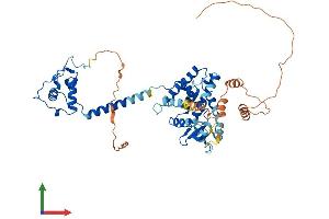 AlphaFold protein structure predicition of Human Recombinant THRA Protein, UniprotID P10827 (THRA Protein (AA 1-490) (His tag))