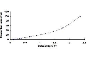 Anti-Myeloperoxidase Antibody (MPO pANCA) ELISA Kit