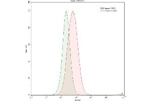 Detection of PKM2 in HepG2 human hepatocellular carcinoma cell line using Polyclonal Antibody to Pyruvate kinase isozymes M2 (PKM2) (PKM2 antibody  (AA 294-470))