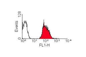 ABIN118933 staining of HLA-B7 +ve human peripheral blood lymphocytes (HLA B7 antibody  (FITC))