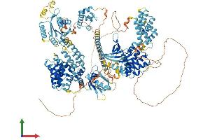 AlphaFold protein structure predicition of Mouse Recombinant Map3k15 Protein, UniprotID A2AQW0 (MAP3K15 Protein (AA 1-1331) (His tag))