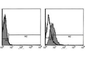 Flow Cytometry (FACS) image for anti-Interleukin 6 Signal Transducer (Gp130, Oncostatin M Receptor) (IL6ST) antibody (ABIN1105843) (CD130/gp130 antibody)