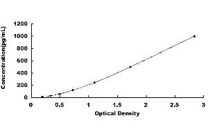MRC2 ELISA Kit