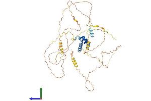 Protein Structure (PS) image for Iroquois Homeobox Protein 4 (IRX4) (AA 1-519) protein (His tag) (ABIN7548557)