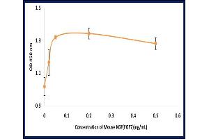 Activity Assay (AcA) image for Fibroblast Growth Factor 7 (FGF7) (Active) protein (ABIN5509362) (FGF7 Protein)
