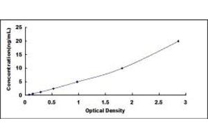 Typical standard curve (BRAF ELISA Kit)