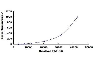 Lymphotoxin beta (TNF Superfamily, Member 3) (LTB) CLIA Kit