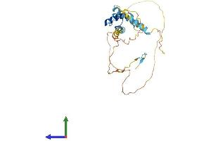 AlphaFold protein structure predicition of Human Recombinant MEIS3P1 Protein, UniprotID A6NDR6 (MEIS3P1 Protein (AA 1-274) (His tag))