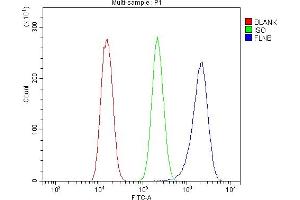 Flow Cytometry analysis of U20S cells using anti-Filamin B/FLNB antibody (ABIN7601607). (FLNB antibody  (AA 397-701))