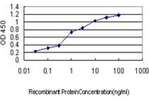 Detection limit for recombinant GST tagged UBB is approximately 0.