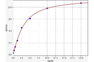 ATP6AP2 ELISA Kit