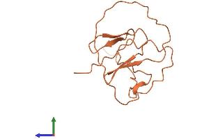 AlphaFold protein structure predicition of Human Recombinant LINC00574 Protein, UniprotID Q9H8X3 (C6orf208 Protein (AA 1-128) (His tag))