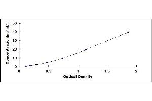 Typical standard curve (CYP2C9 ELISA Kit)