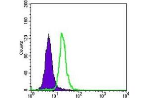 FC analysis of SK-BR-3 cells using SCGB2A2 antibody (green) and negative control (purple). (Mammaglobin A antibody)
