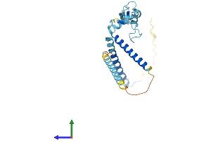 AlphaFold protein structure predicition of Human Recombinant RP9 Protein, UniprotID Q8TA86
