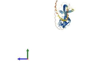 Protein Structure (PS) image for Scavenger Receptor Class A, Member 5 (SCARA5) (AA 1-495) protein (His tag) (ABIN7555337)