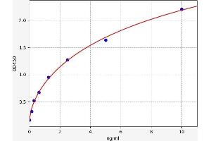 SLC25A4 ELISA Kit