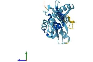 Protein Structure (PS) image for N-Acetyltransferase 14 (GCN5-Related, Putative) (NAT14) (AA 1-206) protein (His tag) (ABIN7549704)