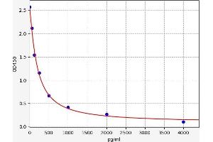 Orexin A (OXA) ELISA Kit