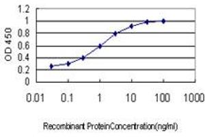 Detection limit for recombinant GST tagged ITGB3BP is approximately 0. (ITGB3BP antibody  (AA 1-100))