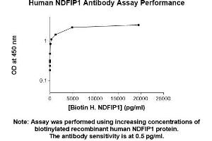 Image no. 2 for anti-Nedd4 Family Interacting Protein 1 (NDFIP1) (AA 1-116) antibody (ABIN5565940) (NDFIP1 antibody  (AA 1-116))