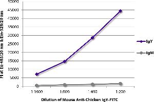 FLISA plate was coated with purified chicken IgY and IgM. (Mouse anti-Chicken IgY Antibody (FITC))