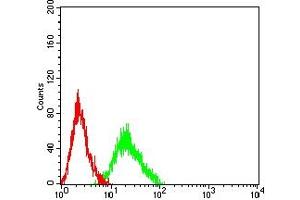 Flow cytometric analysis of HL-60 cells using CHRM5 mouse mAb (green) and negative control (red). (CHRM5 antibody)