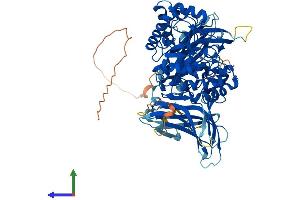 AlphaFold protein structure predicition of Human Recombinant ENGASE Protein, UniprotID Q8NFI3 (ENGASE Protein (AA 1-743) (His tag))