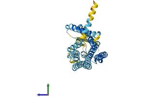 Protein Structure (PS) image for Olfactory Receptor, Family 12, Subfamily D, Member 3 (OR12D3) (AA 1-316) protein (His tag) (ABIN7550128)
