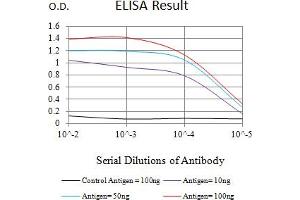 Black line: Control Antigen (100 ng),Purple line: Antigen (10 ng), Blue line: Antigen (50 ng), Red line:Antigen (100 ng) (PMS2 antibody  (AA 748-851))