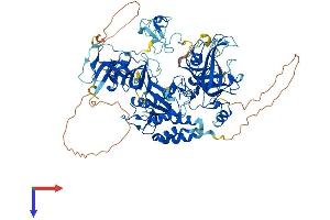 AlphaFold protein structure predicition of Human Recombinant UHRF2 Protein, UniprotID Q96PU4 (UHRF2 Protein (AA 1-802) (His tag))