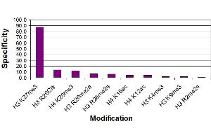 Histone H3 trimethyl Lys27 antibody specificity tested by peptide array analysis. (Histone 3 antibody  (3meLys27))