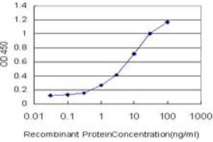 Detection limit for recombinant GST tagged PCDHB3 is approximately 0. (PCDHB3 antibody  (AA 284-381))