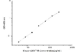 Typical standard curve (CKMT1B ELISA Kit)