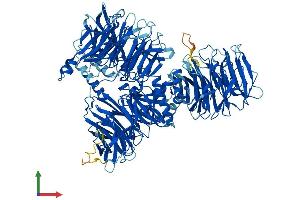 AlphaFold protein structure predicition of Mouse Recombinant Sf3b3 Protein, UniprotID Q921M3 (SF3B3 Protein (AA 1-1217) (His tag))