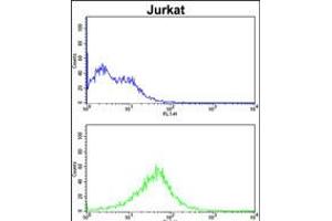 Flow cytometric analysis of Jurkat cells (bottom histogram) compared to a negative control cell (top histogram).