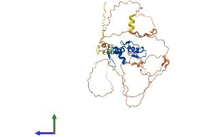 Protein Structure (PS) image for Early Growth Response 3 (EGR3) (AA 1-387) protein (His tag) (ABIN7563260)