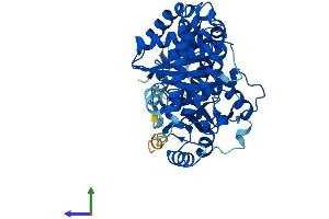 Protein Structure (PS) image for Tubulin, alpha 4a (TUBA4A) (AA 1-448) protein (His tag) (ABIN7544140)