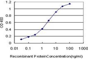 Detection limit for recombinant GST tagged PDE10A is approximately 0. (PDE10A antibody  (AA 242-333))