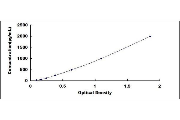 CXCL9 ELISA Kit