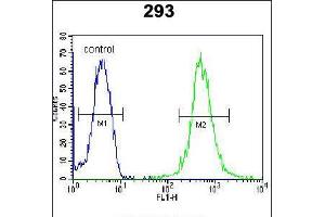 Flow cytometric analysis of 293 cells (right histogram) compared to a negative control cell (left histogram). (WDR48 antibody  (C-Term))