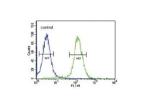 Flow cytometric analysis of 293 cells (right histogram) compared to a negative control cell (left histogram). (Neuropeptide FF antibody  (C-Term))