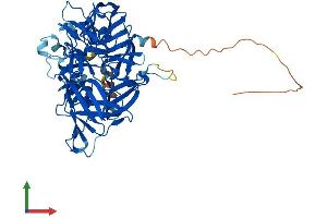 AlphaFold protein structure predicition of Mouse Recombinant Bco1 Protein, UniprotID Q9JJS6