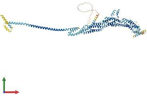 AlphaFold protein structure predicition of Mouse Recombinant Exoc6b Protein, UniprotID A6H5Z3 (EXOC6B Protein (AA 1-810) (His tag))